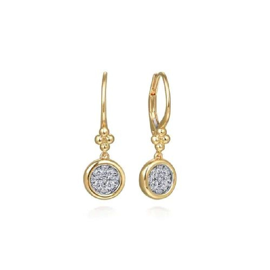 14KY Gabriel & Co. Bujukan Diamond Cluster Earrings 

14K Yellow Gold Bujukan Diamond Cluster Drop Earrings 

0.29 Carats Total Diamond Weight of SI1-2 Clarity, GH Colour 

S2264987

