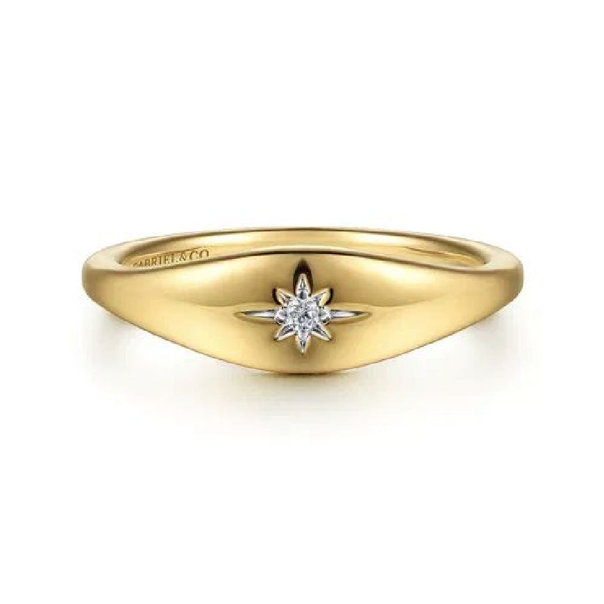 14KY Gabriel & Co. Starburst Diamond Ring 

14K Yellow Gold Contemporary Starbust Signet Diamond Ring 

0.02 Carats Total Diamond Weight of SI+ Clarity, GH Colour 

S2265028

Finger Size 6.5 
