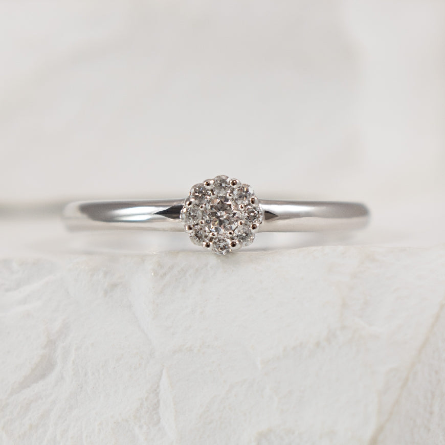 10KW Diamond Cluster Ring                         

10K White Gold Natural Diamond Cluster Ring 

0.11 Total Natural Diamond Weight

Finger Size 6.25
