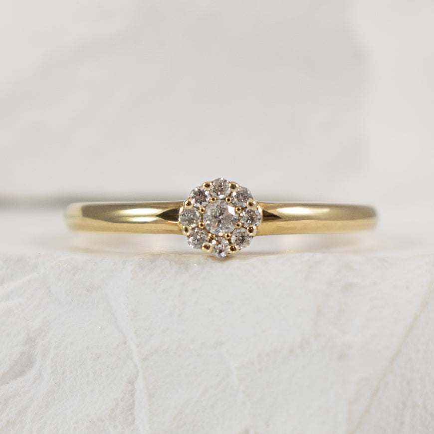10KY Diamond Cluster Ring                         

10K Yellow Gold Natural Diamond Cluster Ring 

0.11 Total Natural Diamond Weight 

Finger Size 7

 